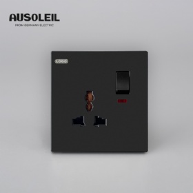 A10021 1 gang switch +multifunction socket w/neon