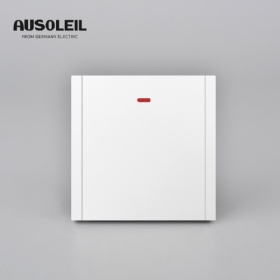 C10-008 1 gang switch with  indicator (fluorescence)